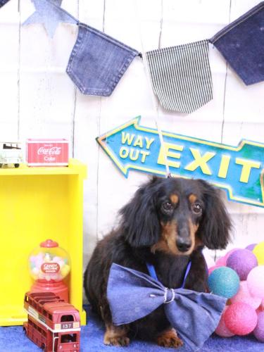 20230409イヴちゃん